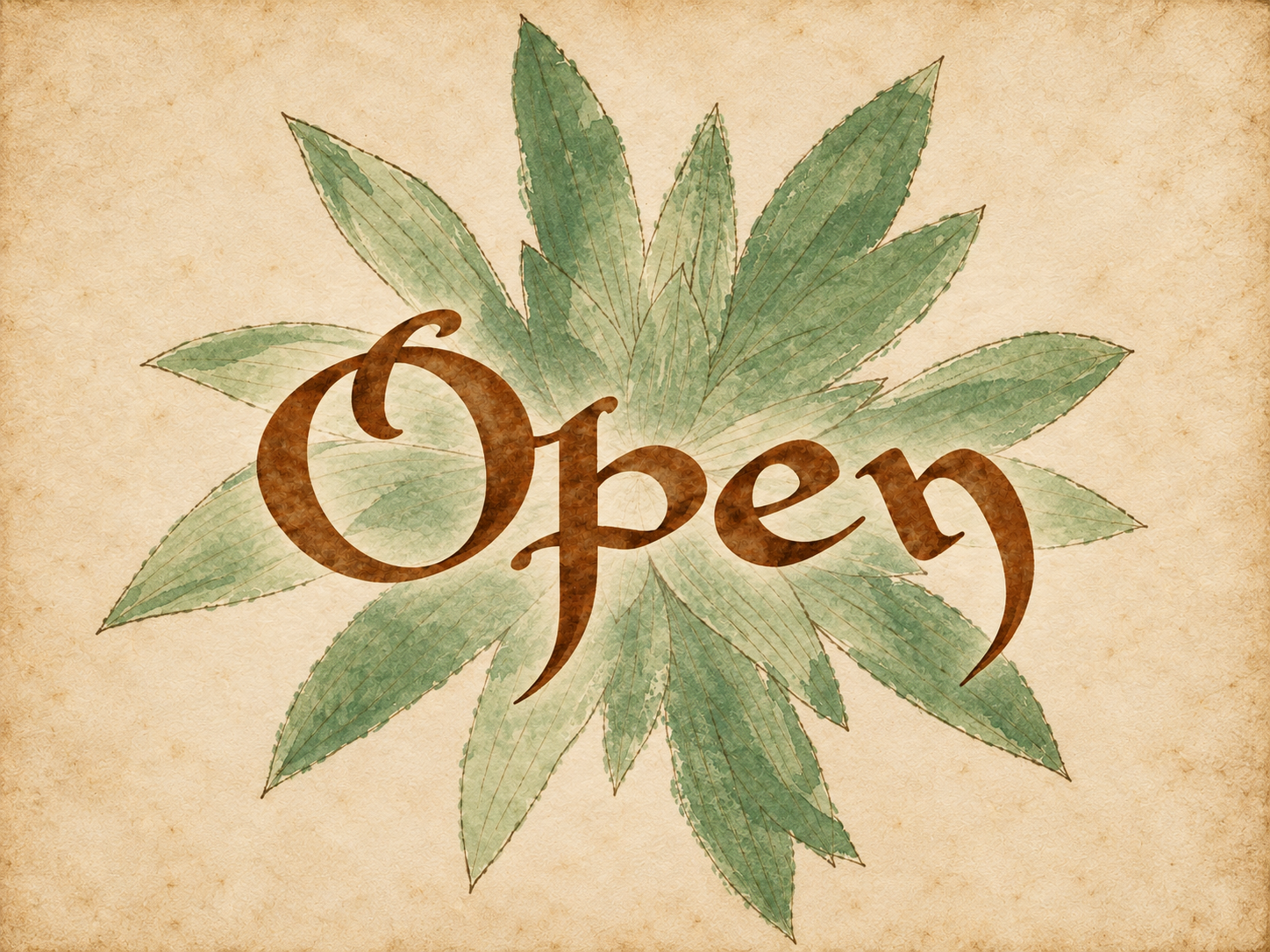 Open Voynich